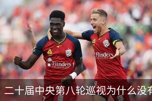 二十届中央第八轮巡视为什么没有公布巡视组名单和联系方式？