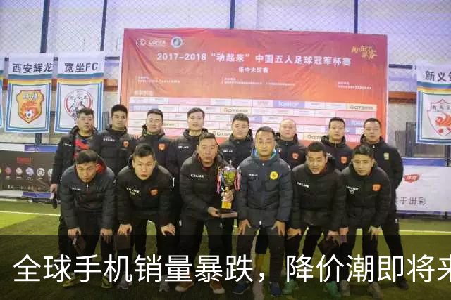 全球手机销量暴跌，降价潮即将来临