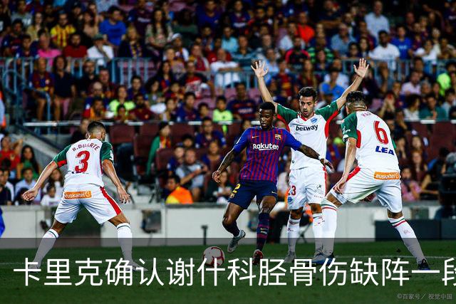 卡里克确认谢什科胫骨伤缺阵一段时间：还不清楚具体多久