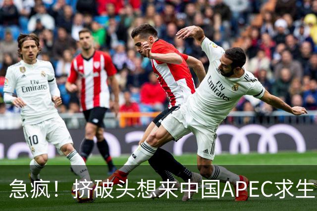 急疯！挤破头想来中国APEC求生，因国内清算打响，高市或锒铛入狱