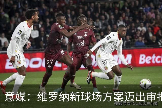 意媒：维罗纳新球场方案迈出审批第一步