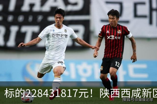标的228431817元！陕西西咸新区发展集团有限公司新增被执行人记录