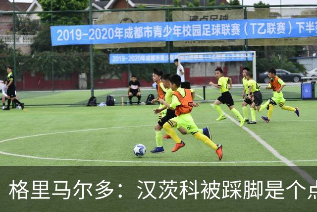 格里马尔多：汉茨科被踩脚是个点球，必须有人解释为何VAR没介入