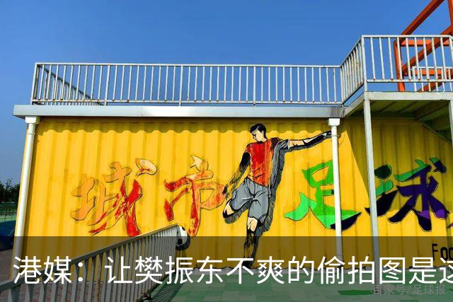 港媒：让樊振东不爽的偷拍图是这张 这位超级粉丝经常“偶遇”小胖