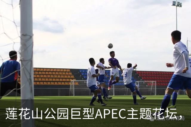 莲花山公园巨型APEC主题花坛，绿雕长达21米