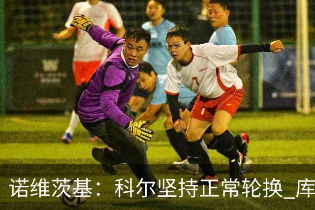 诺维茨基：科尔坚持正常轮换 库里&格林第二节回归后勇士迅速追分
