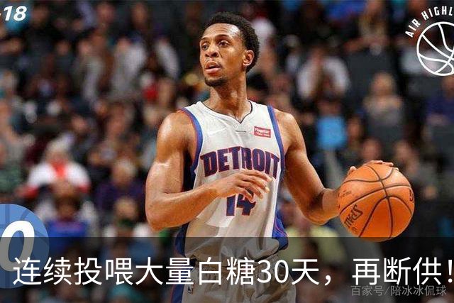 连续投喂大量白糖30天，再断供！国外网红扮“蚂蚁天神”整蛊野生蚁群