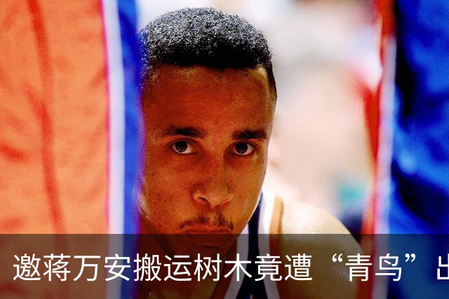 邀蒋万安搬运树木竟遭“青鸟”出征，清洁队长：我好内疚、很难过
